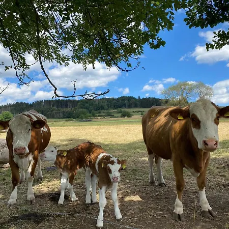 Federleicht Сasa de vacaciones