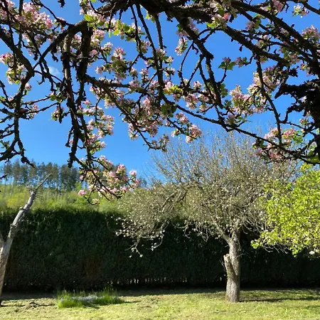 Сasa de vacaciones Federleicht *