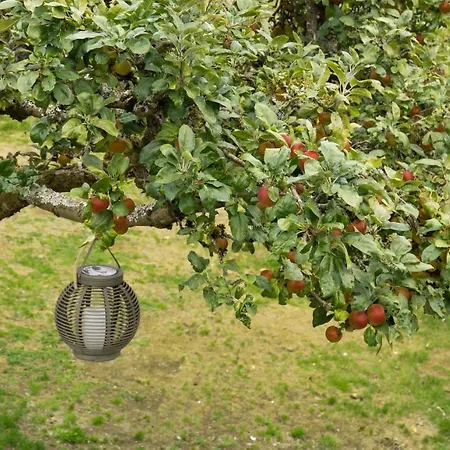 Сasa de vacaciones Federleicht *