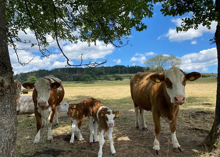 Federleicht Casa de Férias