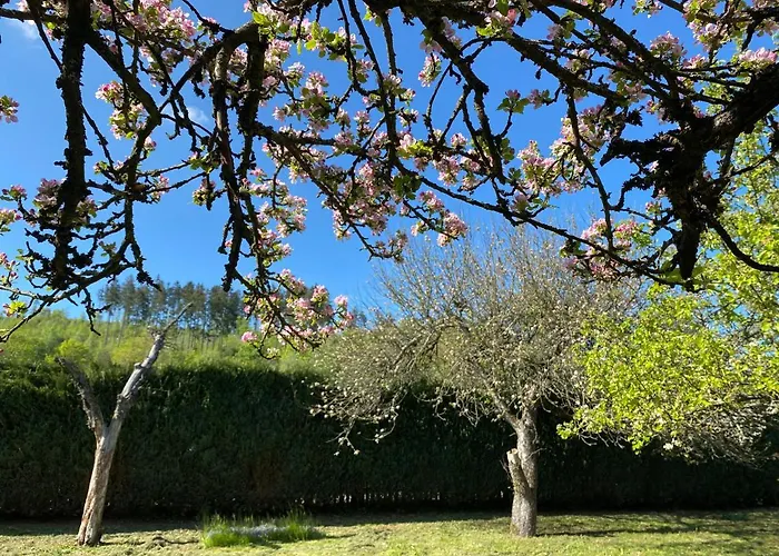 Casa de Férias Federleicht *