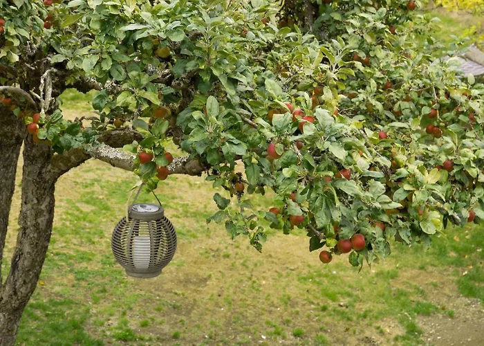 度假居 Federleicht *